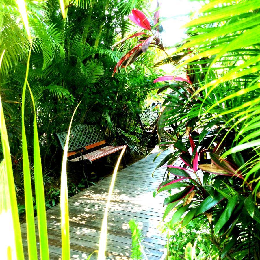 Hotel Les Bougainvilliers 생질레방 외부 사진